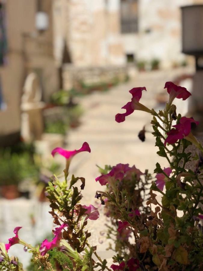 Casa Rural Mirador Bocairent Ngoại thất bức ảnh